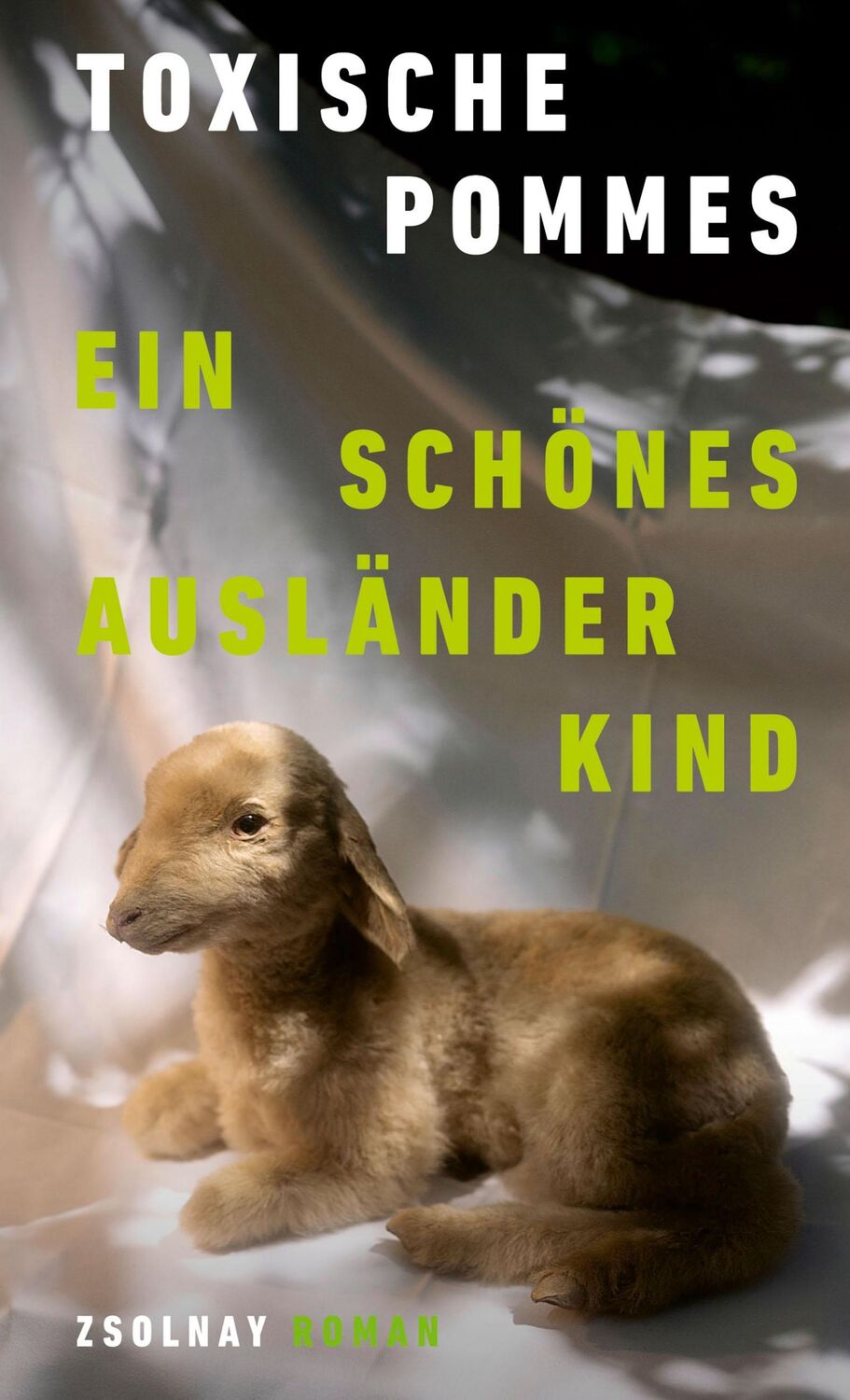 Cover: 9783552073968 | Ein schönes Ausländerkind | Roman | Toxische Pommes | Buch | 208 S.