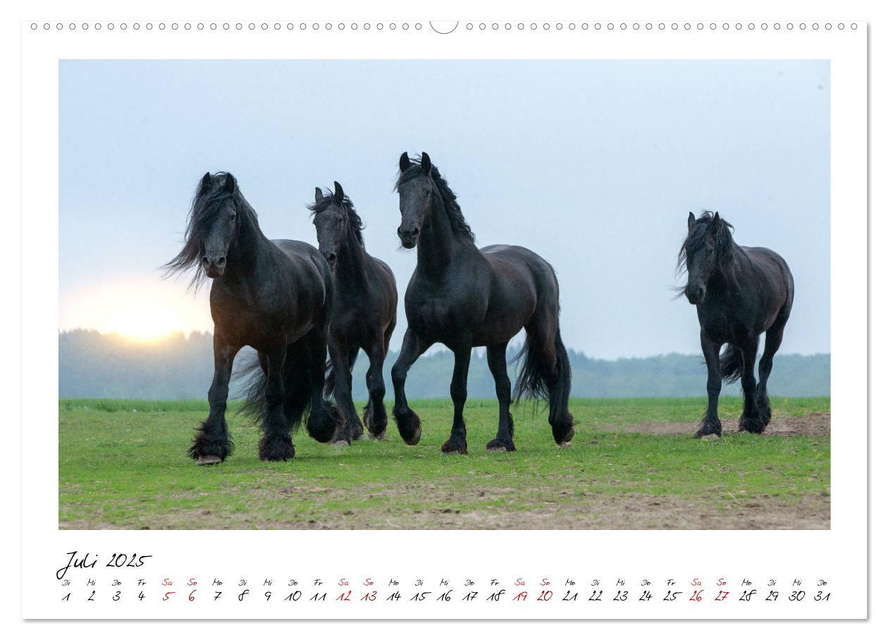 Bild: 9783435234127 | Friesen - stolze Giganten (hochwertiger Premium Wandkalender 2025...