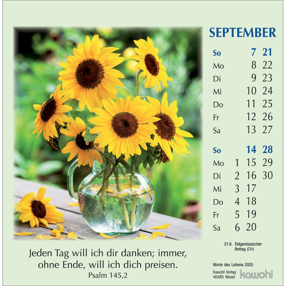 Bild: 9783754890059 | Worte des Lebens 2025 | Kalender | Spiralbindung. Spiralbindung | 2025