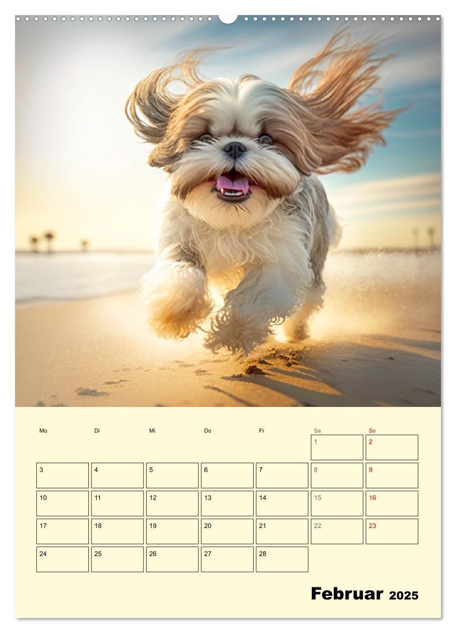 Bild: 9783435874101 | Shih Tzu Alarm. Glückliche Wuschelköpfe (Wandkalender 2025 DIN A2...