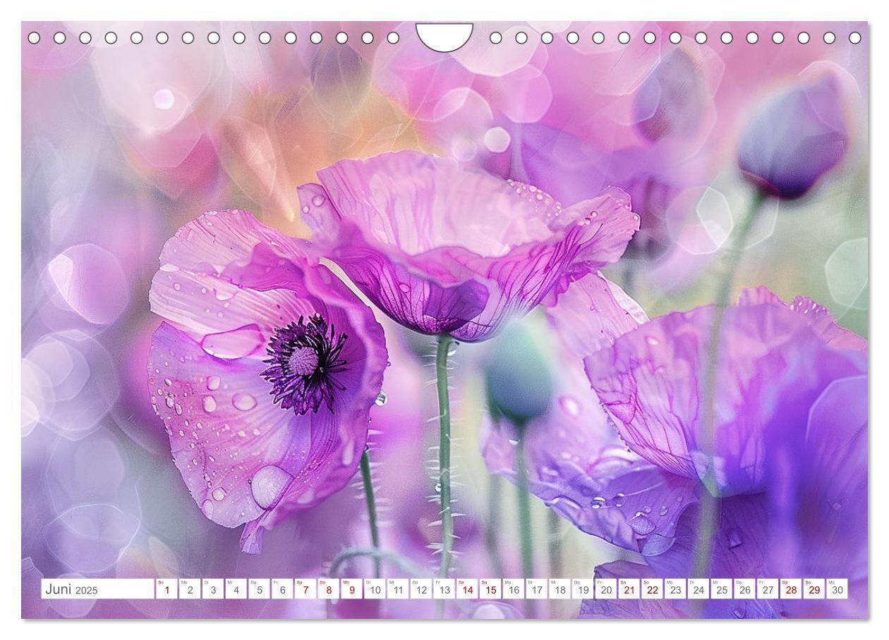 Bild: 9783383814549 | Bezaubernde Mohnblumen (Wandkalender 2025 DIN A4 quer), CALVENDO...