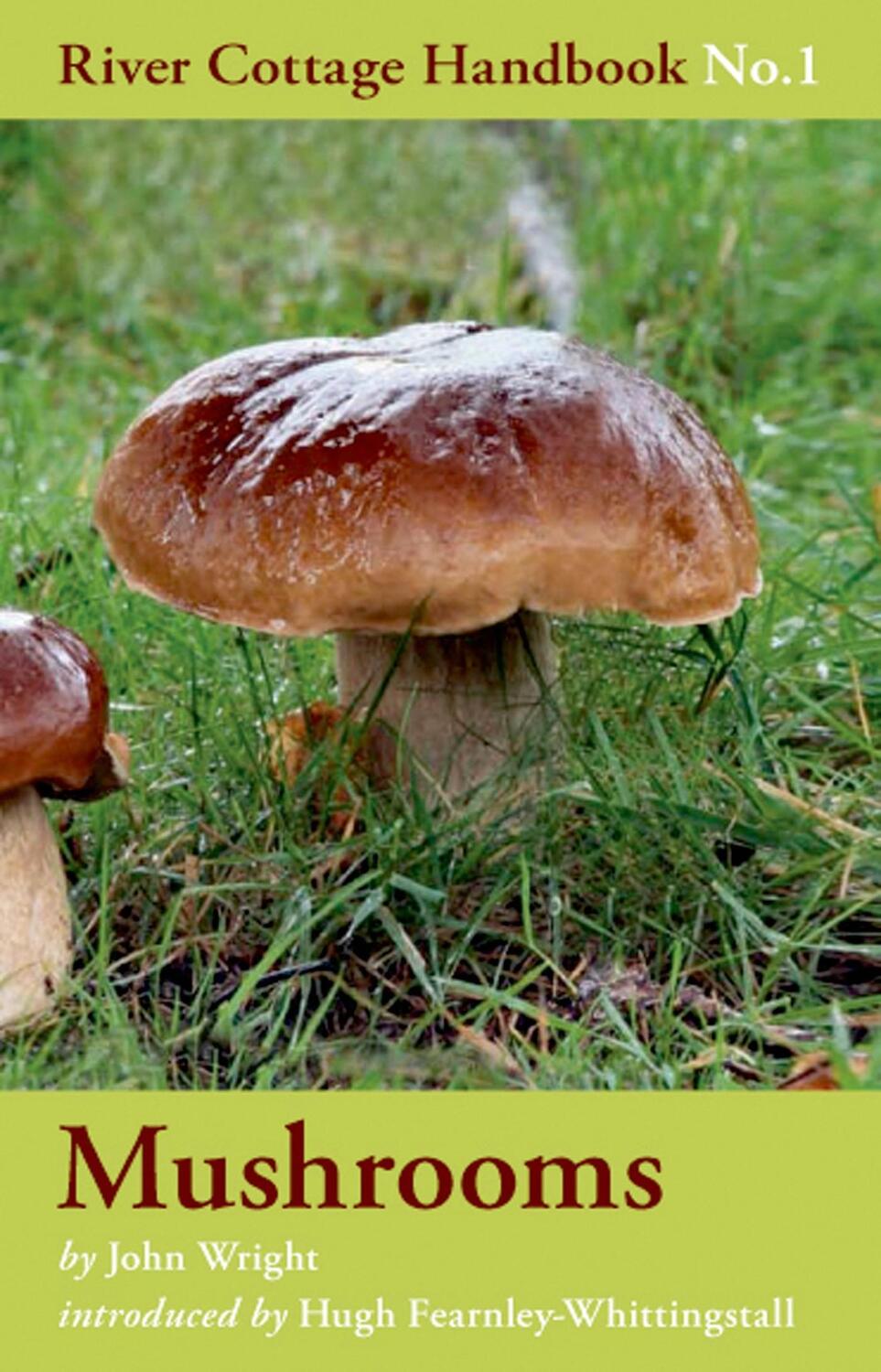 Cover: 9780747589327 | Mushrooms | John Wright | Buch | River Cottage Handbook | Englisch