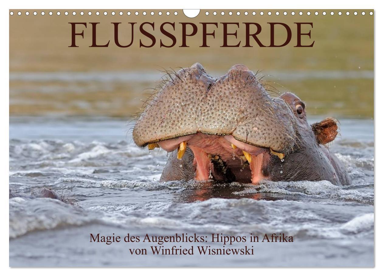 Cover: 9783435764785 | Flusspferde Magie des Augenblicks - Hippos in Afrika (Wandkalender...