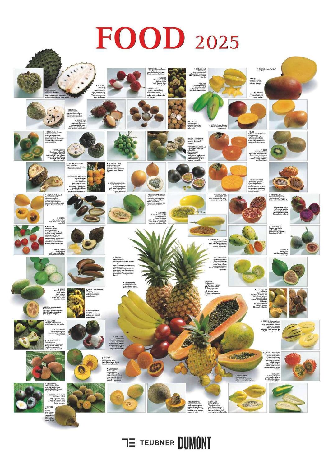 Cover: 4250809652887 | Food 2025 - Bildkalender 50x70 cm - mit kurzen Beschreibungen zu...