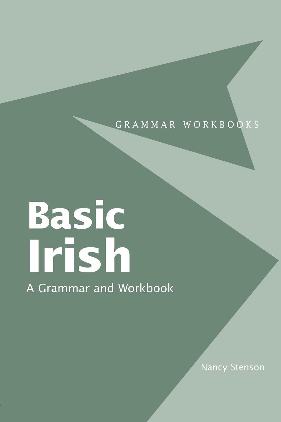 Cover: 9780415410410 | Basic Irish: A Grammar and Workbook | Nancy Stenson | Taschenbuch