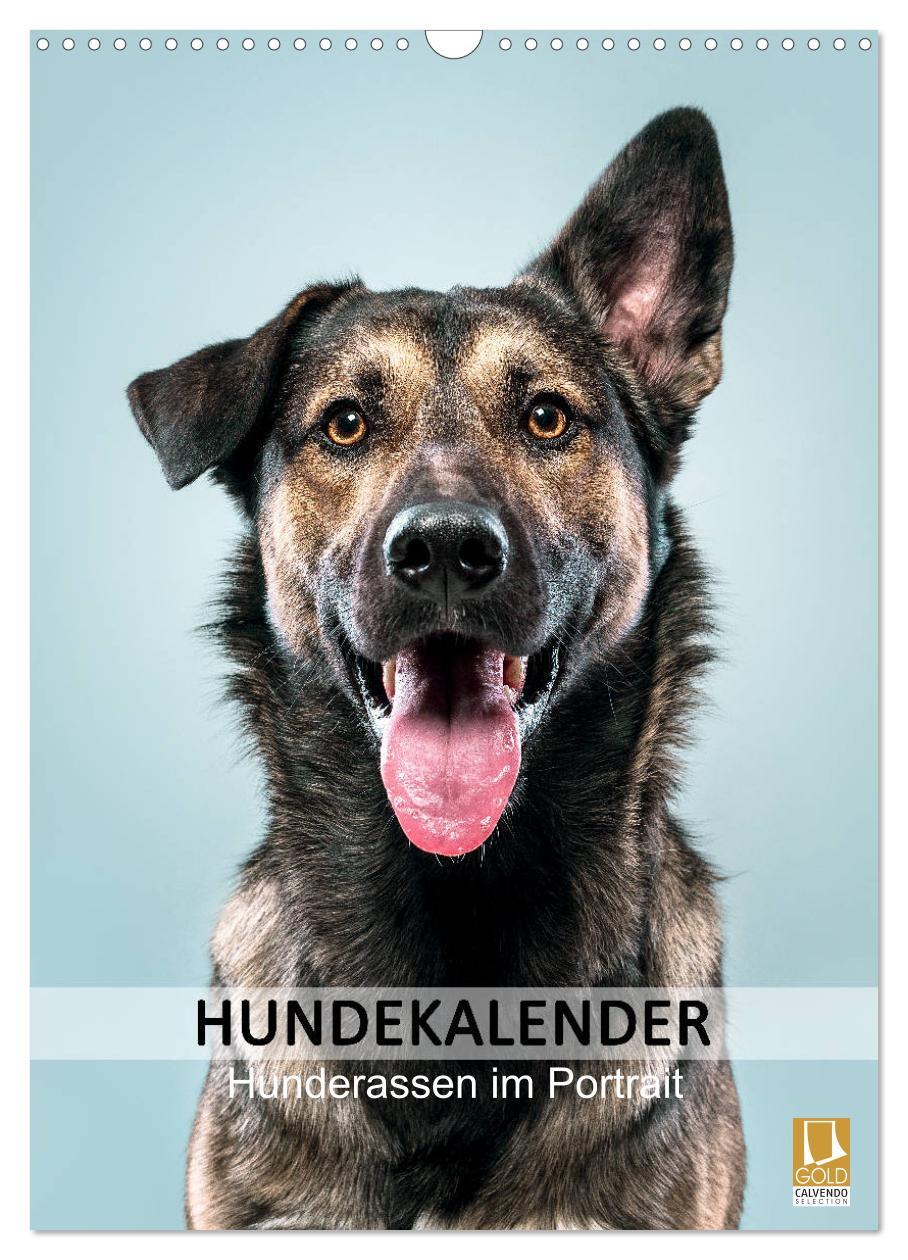 Cover: 9783435975143 | Hundekalender - Hunderassen im Portrait (Wandkalender 2025 DIN A3...