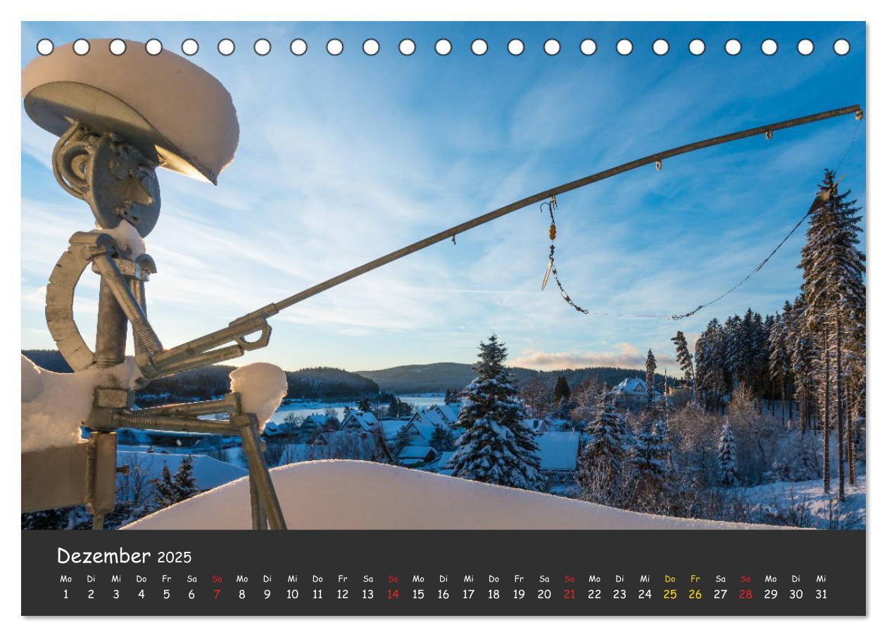 Bild: 9783435361670 | Schluchsee Naturpark Südschwarzwald (Tischkalender 2025 DIN A5...