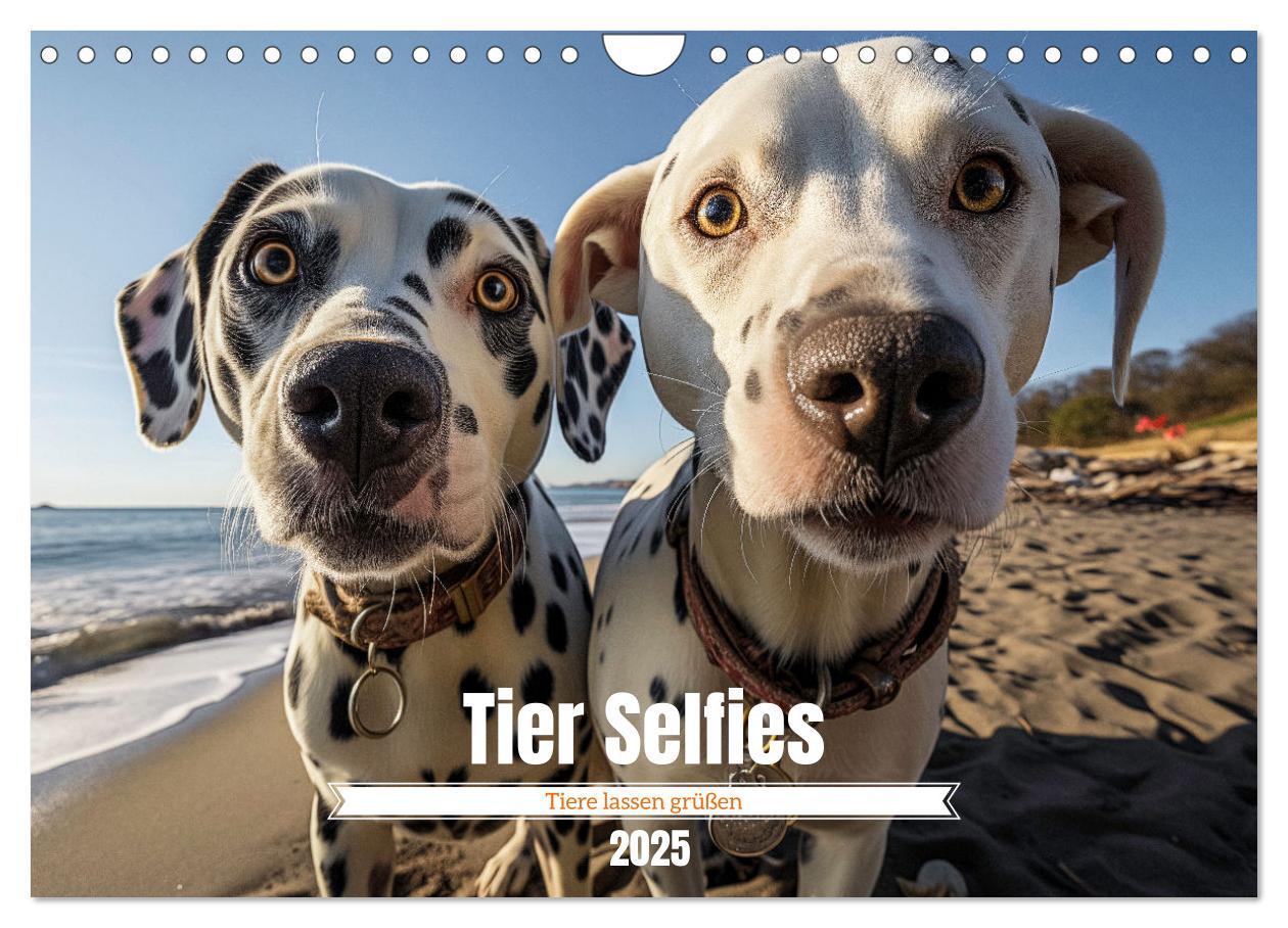 Cover: 9783457179949 | Tier Selfies (Wandkalender 2025 DIN A4 quer), CALVENDO Monatskalender