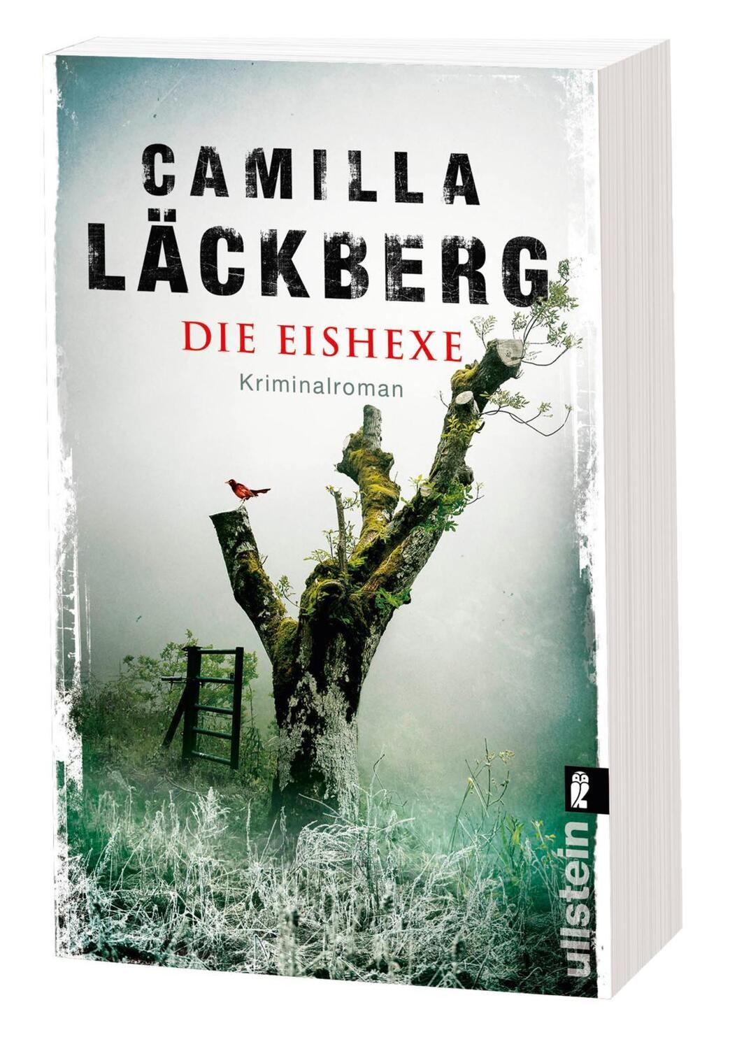 Bild: 9783548290669 | Die Eishexe | Kriminalroman | Camilla Läckberg | Taschenbuch | 752 S.