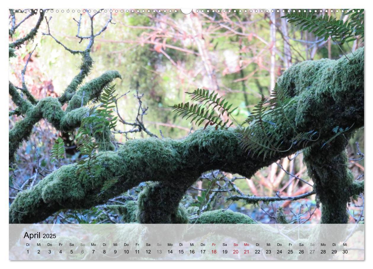 Bild: 9783435462278 | Bretagne - Wildnis Finistère (Wandkalender 2025 DIN A2 quer),...