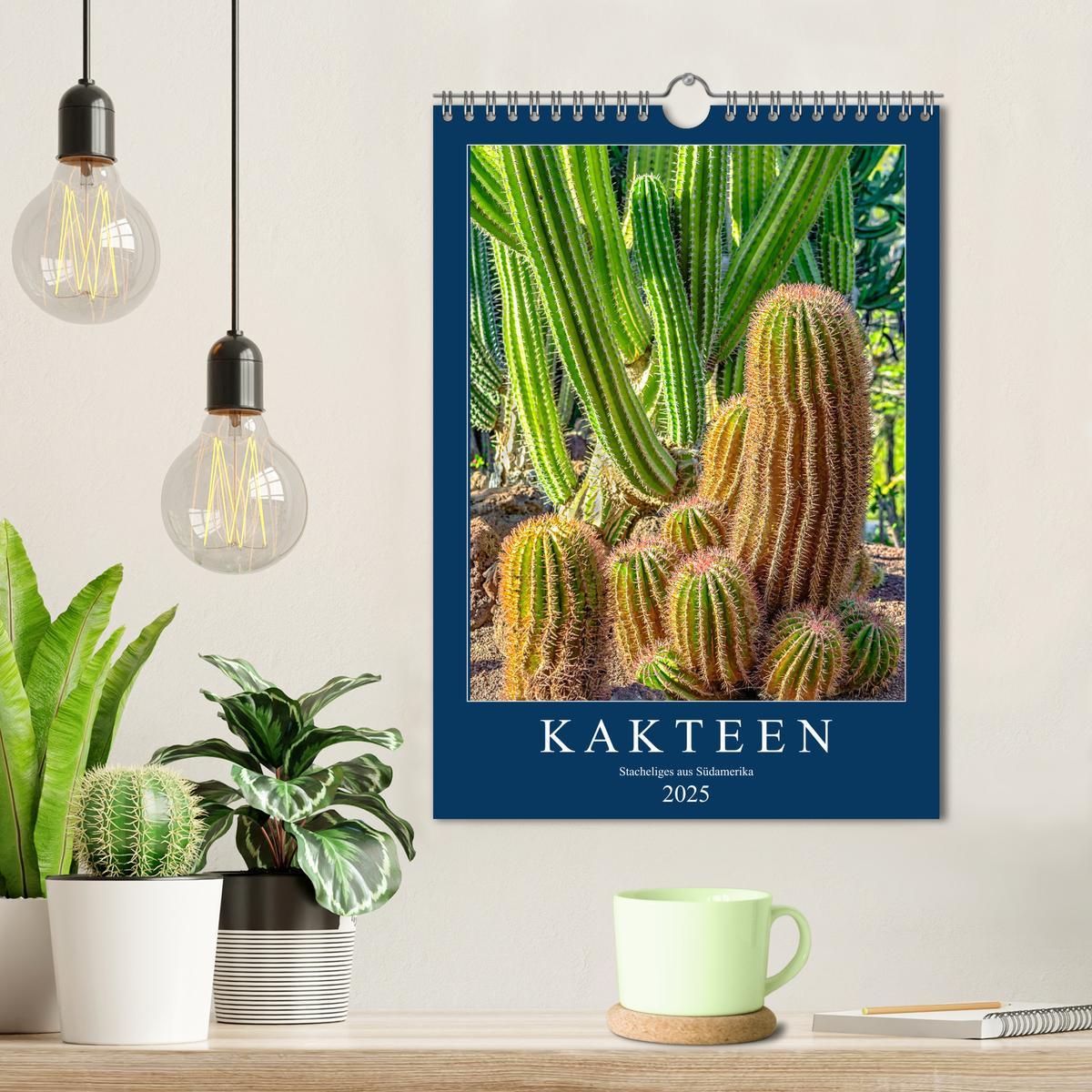 Bild: 9783435970056 | Kakteen - Stacheliges aus Südamerika (Wandkalender 2025 DIN A4...