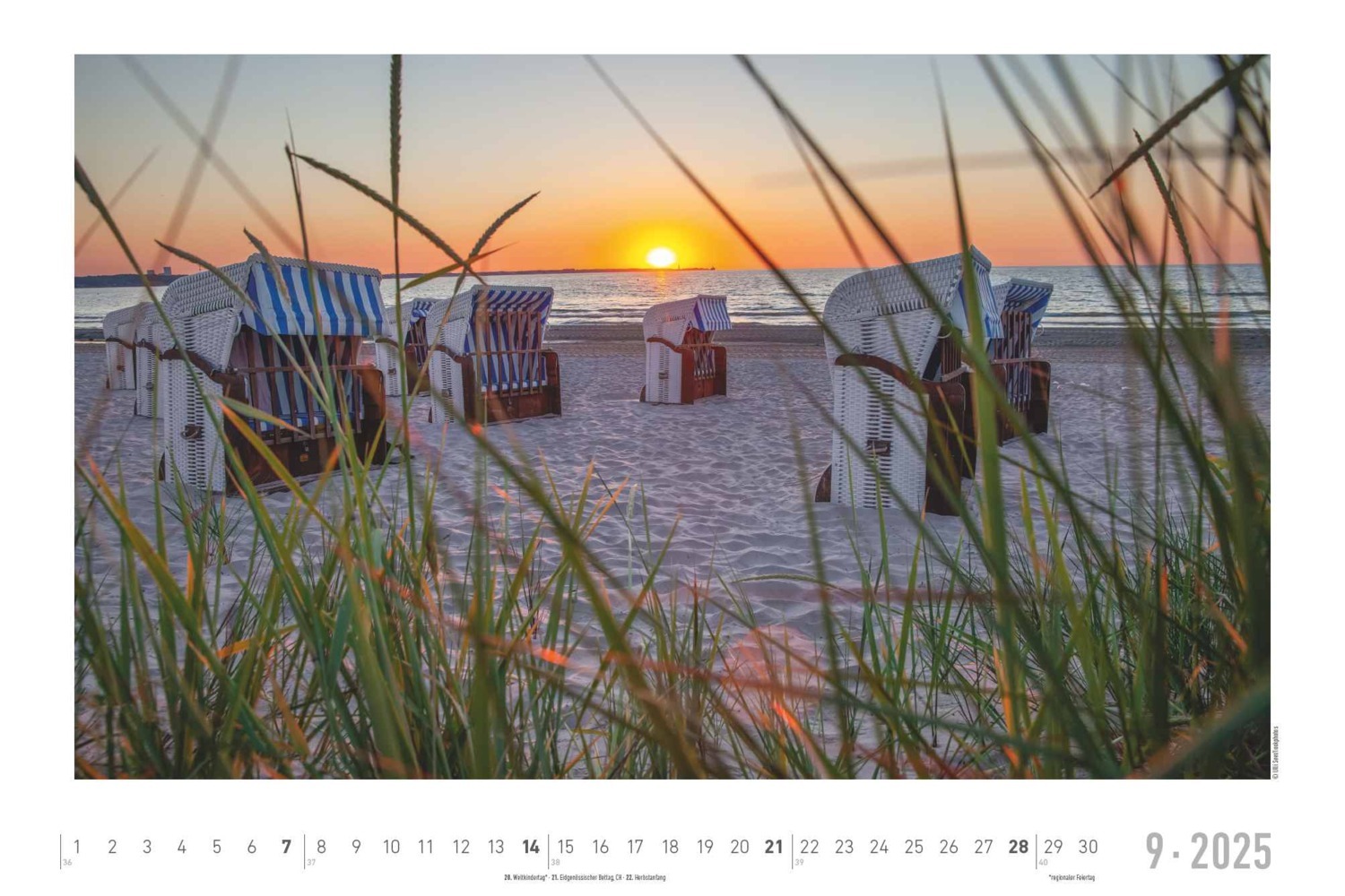 Bild: 4251732343392 | Alpha Edition - Seeblick 2025 Bildkalender quer, 49,5x33cm,...