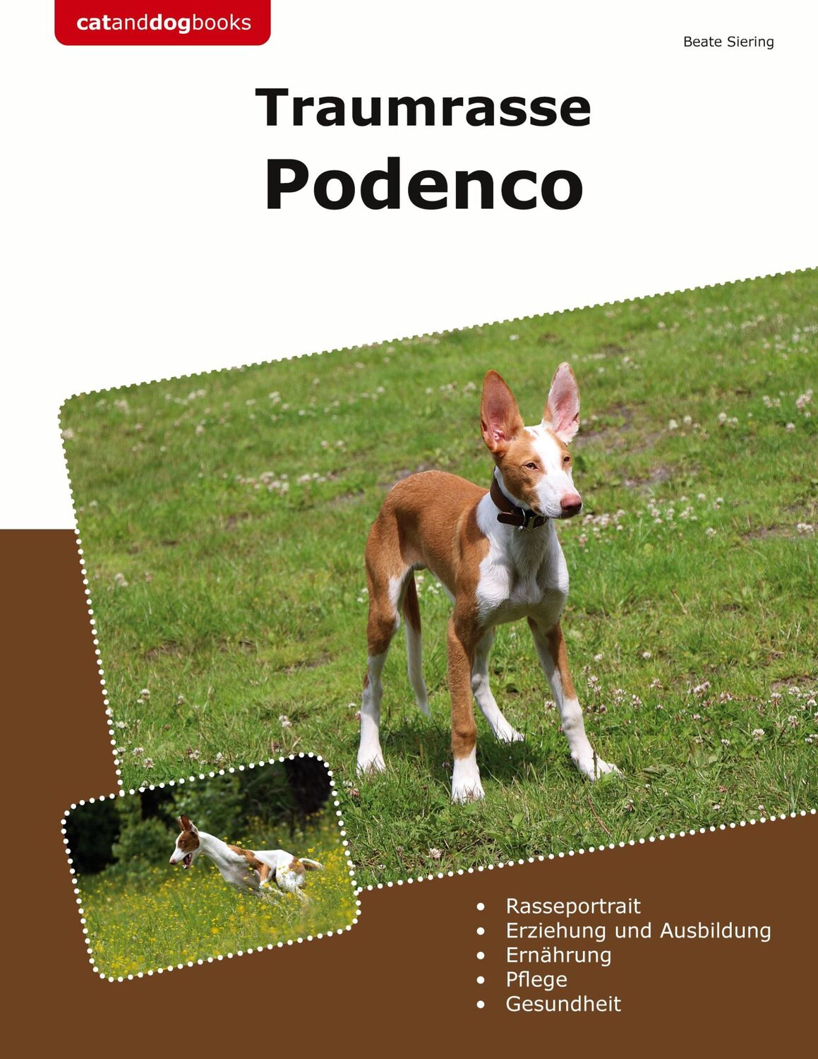 Cover: 9783759759399 | Traumrasse Podenco | Beate Siering | Taschenbuch | Paperback | 192 S.