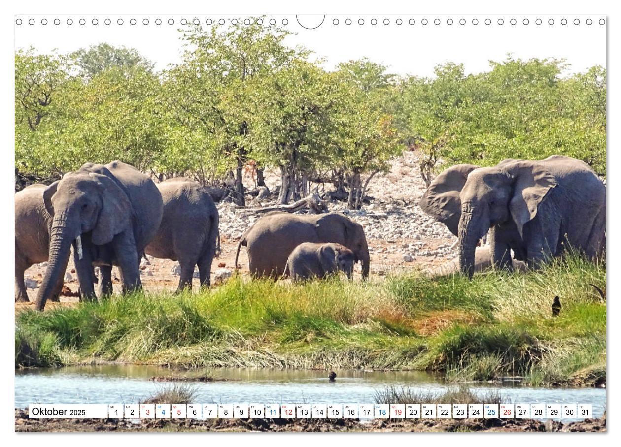 Bild: 9783435221950 | Namibia, Faszination Wüste und Tierwelt (Wandkalender 2025 DIN A3...