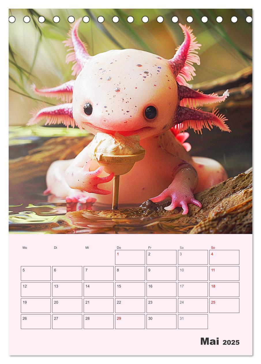 Bild: 9783383807909 | Axolotl. Lustiger Schwanzlurch mit Superkräften (Tischkalender 2025...