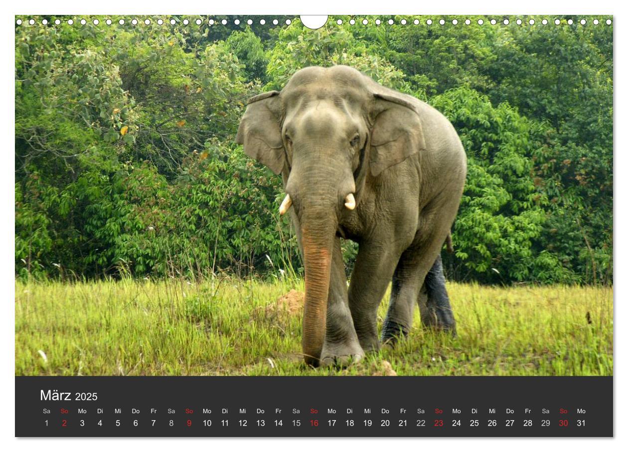 Bild: 9783435664542 | Thailand - exotisch und faszinierend (Wandkalender 2025 DIN A3...