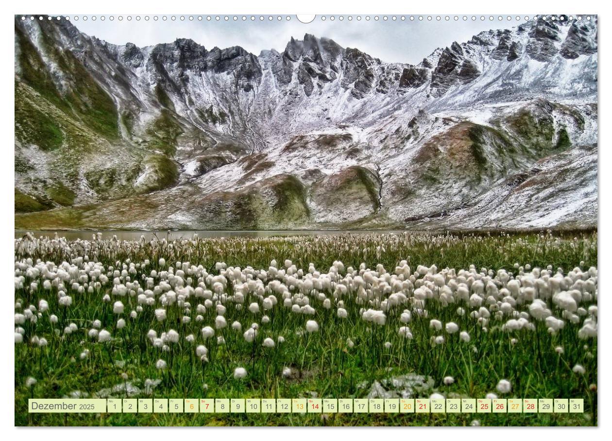 Bild: 9783435473083 | Blumenwiesen ¿ ein blütenzauberhaftes Jahr (Wandkalender 2025 DIN...