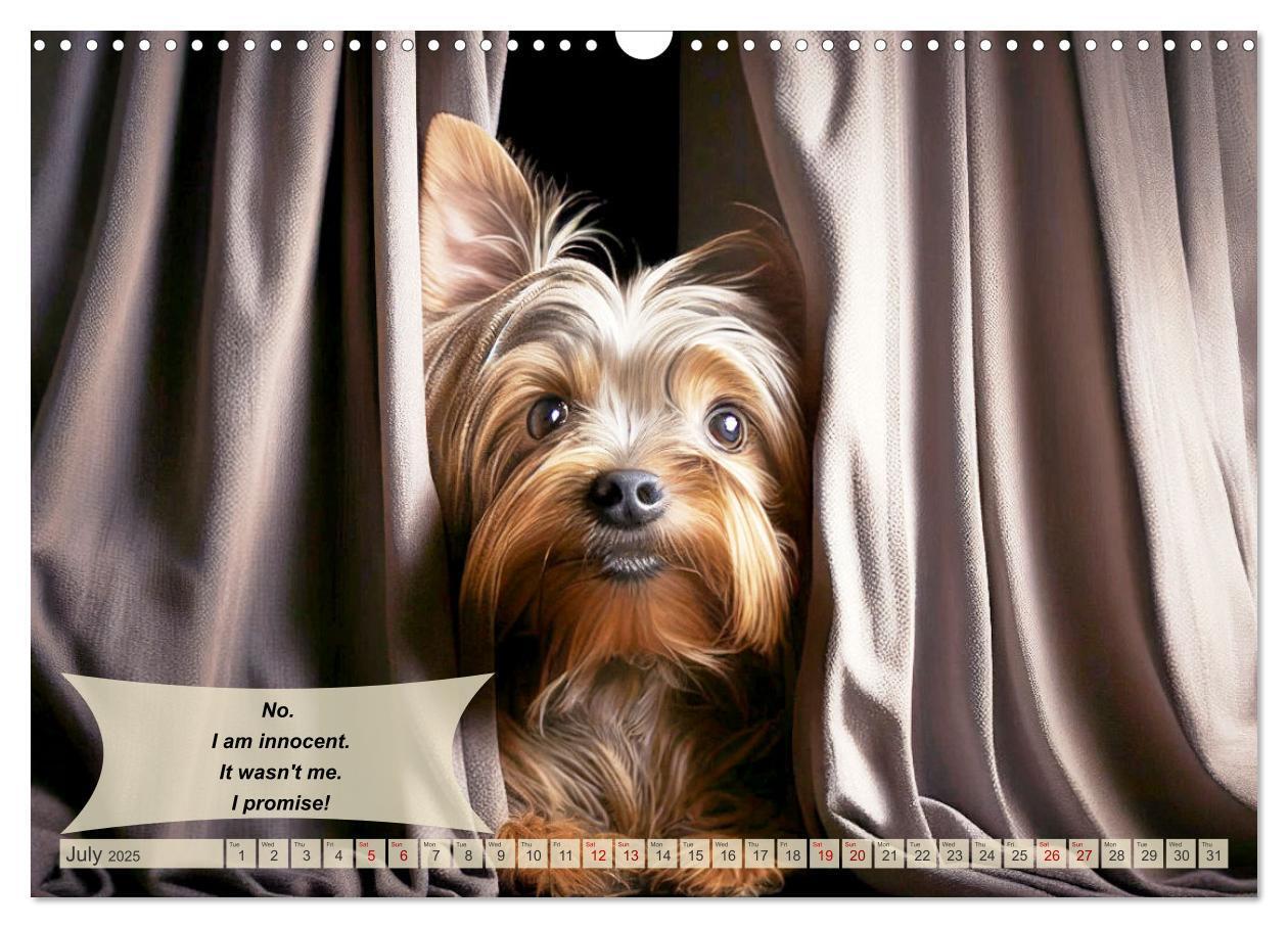 Bild: 9781325986026 | Great fun for Yorkshire Terrier lovers (Wall Calendar 2025 DIN A3...