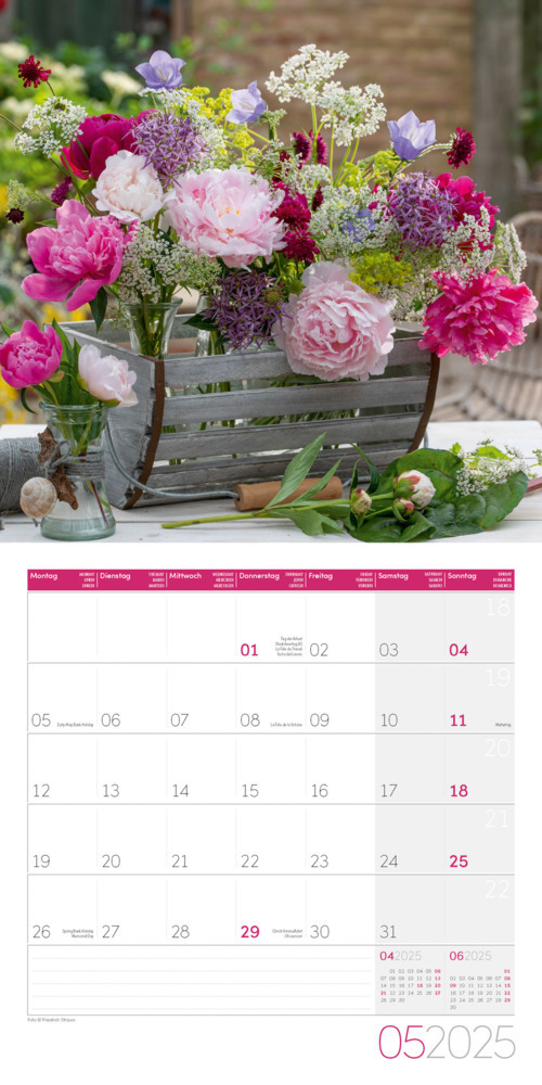 Bild: 9783838445007 | Blumenzauber Kalender 2025 - 30x30 | Ackermann Kunstverlag | Kalender