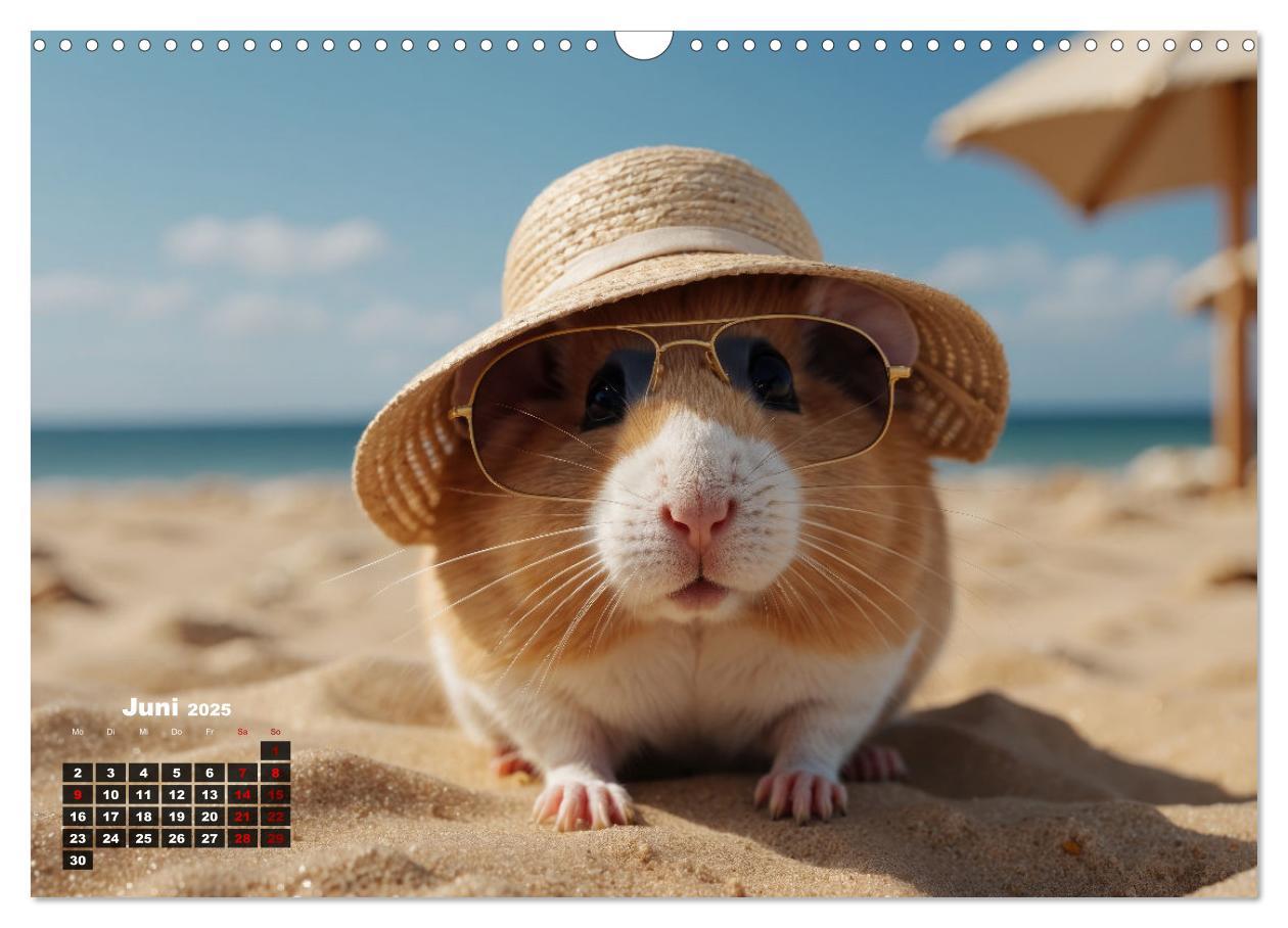 Bild: 9783383839214 | Hamstertage (Wandkalender 2025 DIN A3 quer), CALVENDO Monatskalender