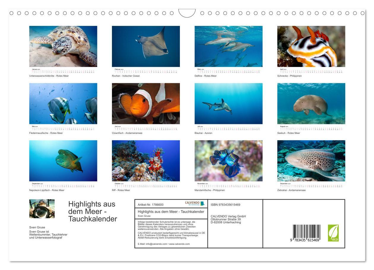 Bild: 9783435615469 | Highlights aus dem Meer - Tauchkalender (Wandkalender 2025 DIN A3...