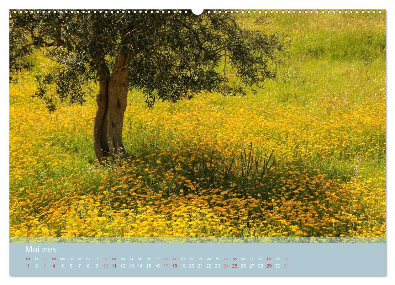 Bild: 9783435682867 | Lesbos - Inselimpressionen (Wandkalender 2025 DIN A2 quer),...