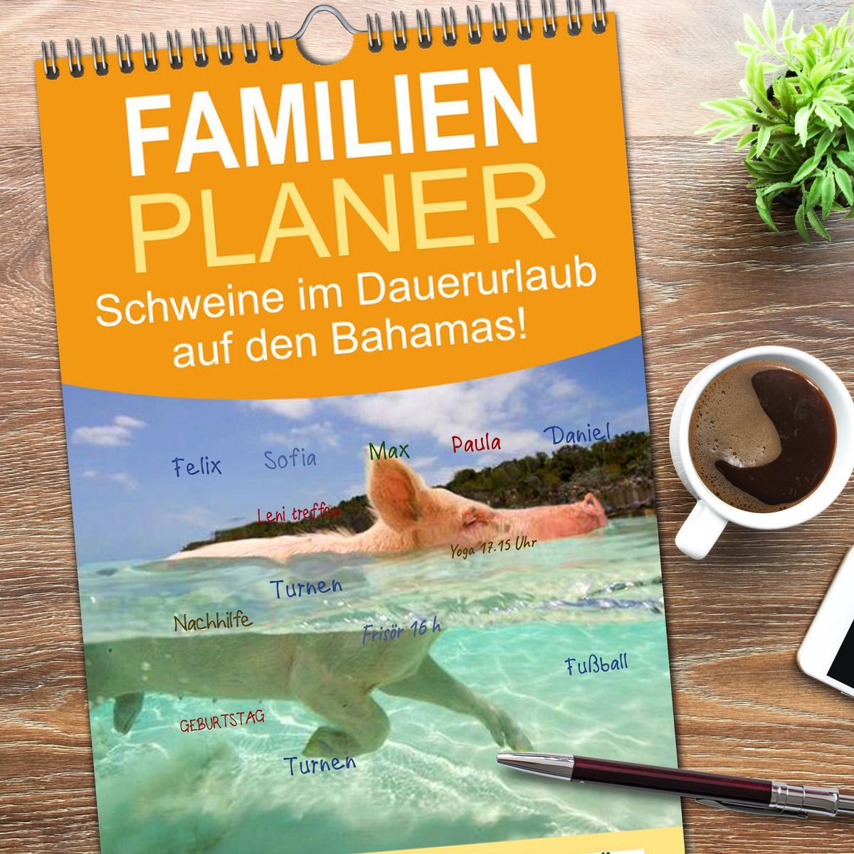 Bild: 9783457119426 | Familienplaner 2025 - Schweine im Dauerurlaub auf den Bahamas! mit...