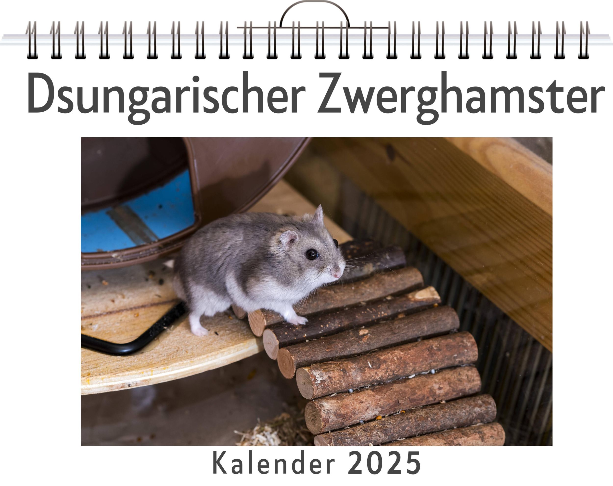 Cover: 9783759120809 | Dsungarischer Zwerghamster | Alice Hartmann | Kalender | Kalender