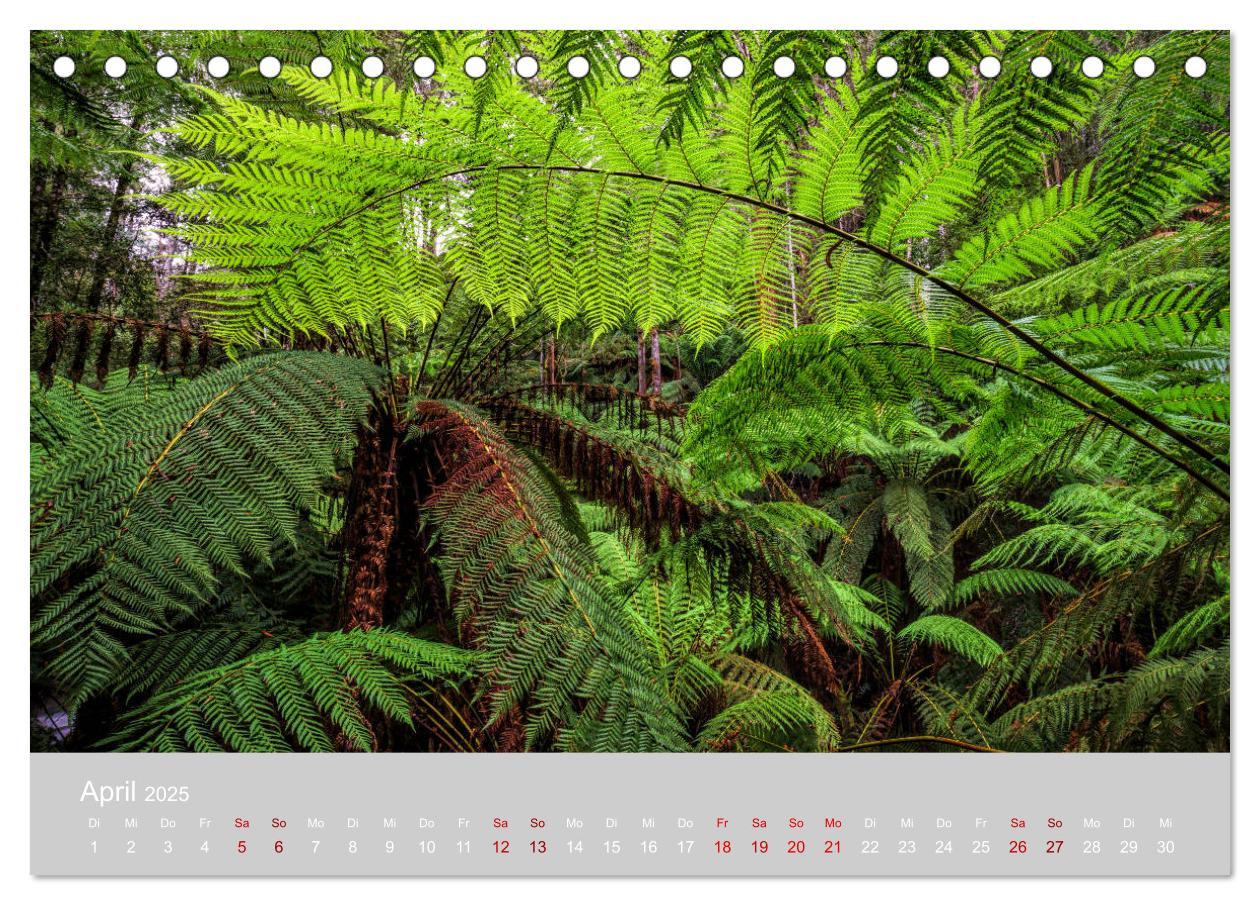 Bild: 9783435443499 | Tasmanien - Juwel am anderen Ende der Welt (Tischkalender 2025 DIN...