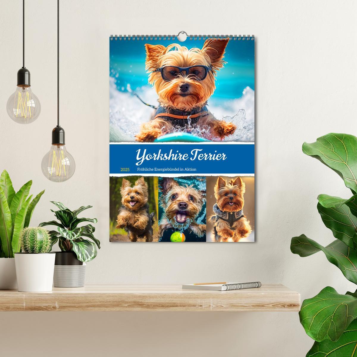 Bild: 9783435873715 | Yorkshire Terrier. Fröhliche Energiebündel in Aktion (Wandkalender...