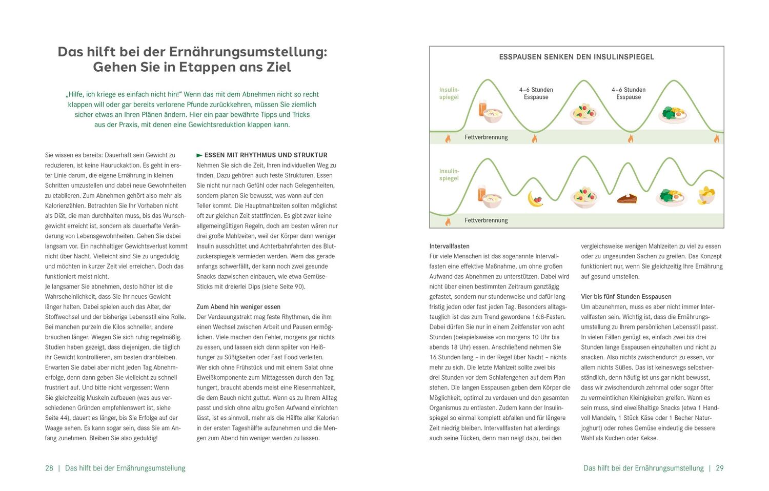 Bild: 9783965843837 | Die Ernährungs-Docs - Unsere Anti-Jo-Jo-Methode | Riedl (u. a.) | Buch