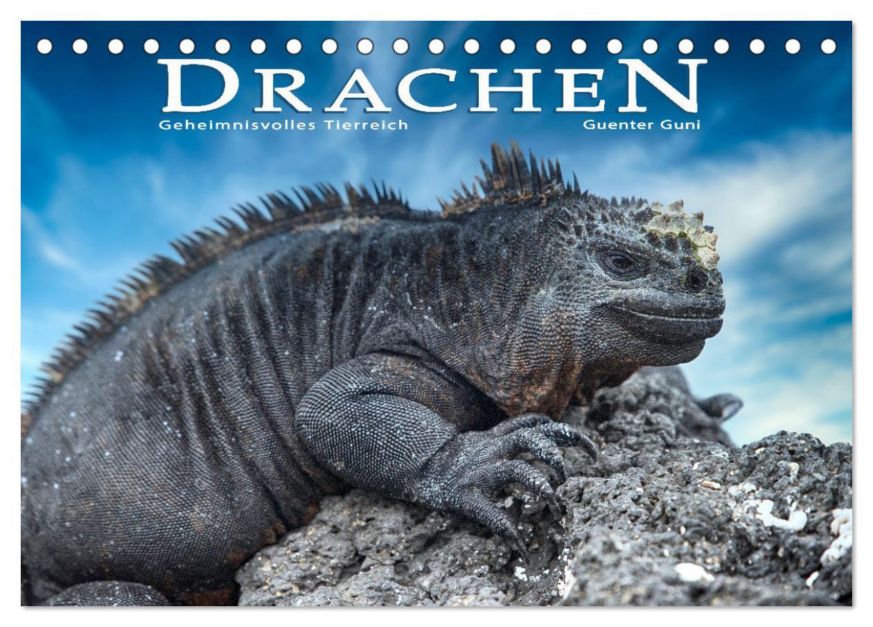 Cover: 9783383975622 | Drachen: Geheimnisvolles Tierreich (Tischkalender 2025 DIN A5...