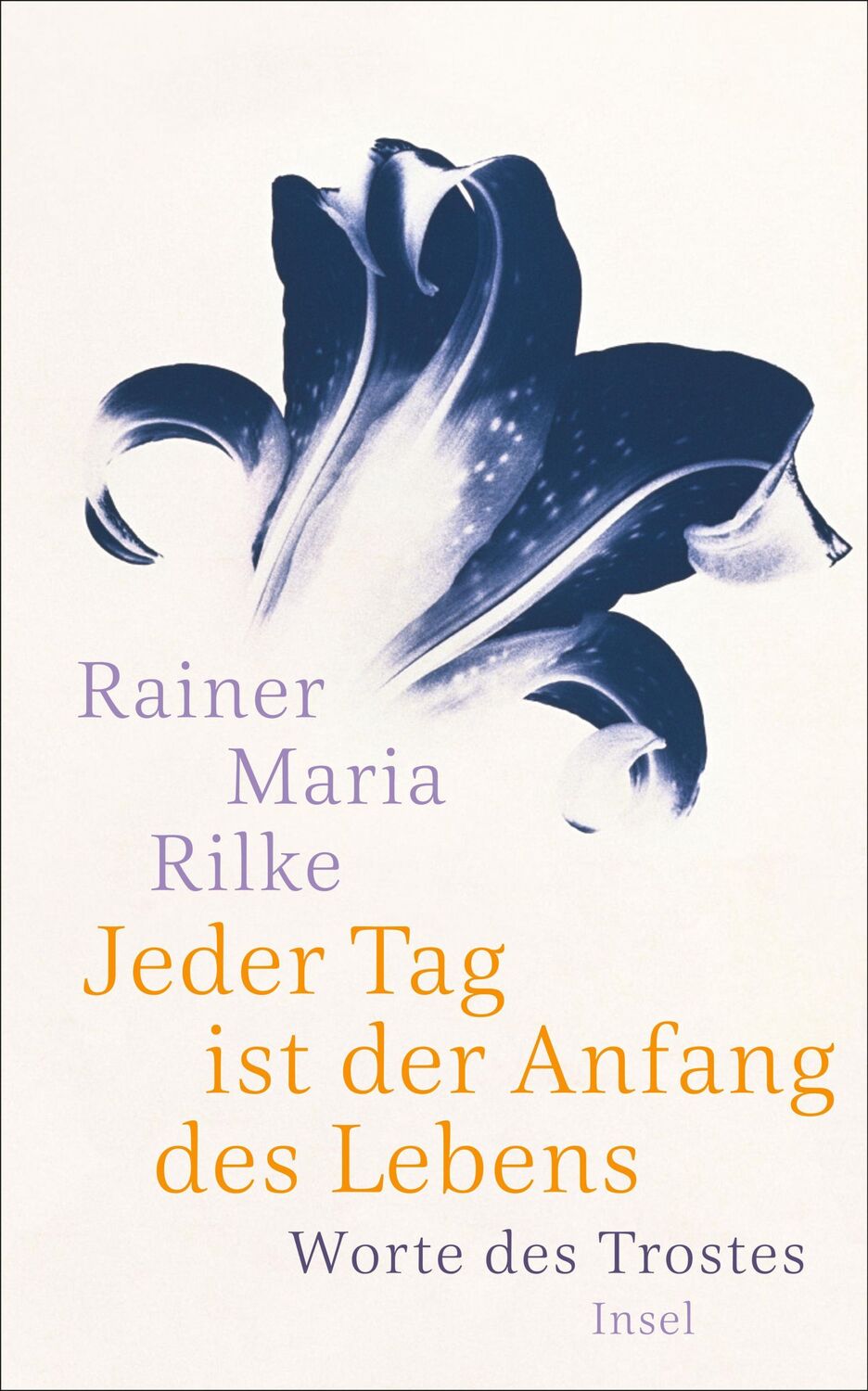 Cover: 9783458361909 | Jeder Tag ist der Anfang des Lebens | Worte des Trostes | Rilke | Buch