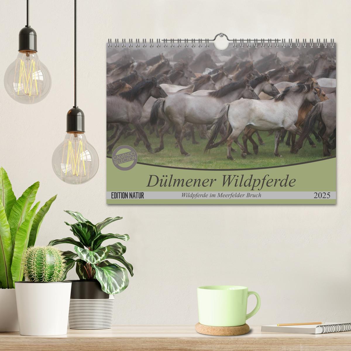 Bild: 9783435412136 | Dülmener Wildpferde - Wildpferde im Meerfelder Bruch (Wandkalender...