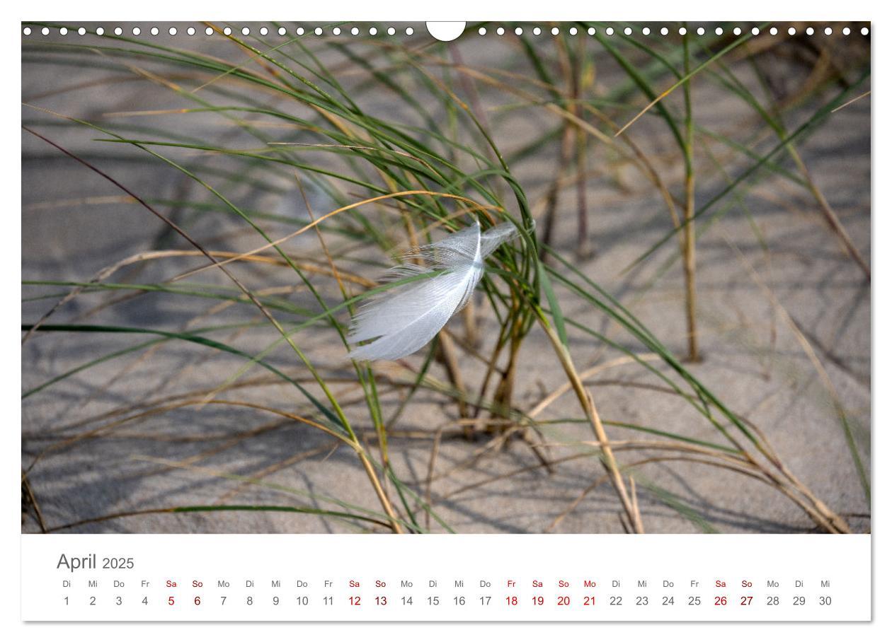 Bild: 9783435022366 | Dänemark - Henne Strand (Wandkalender 2025 DIN A3 quer), CALVENDO...