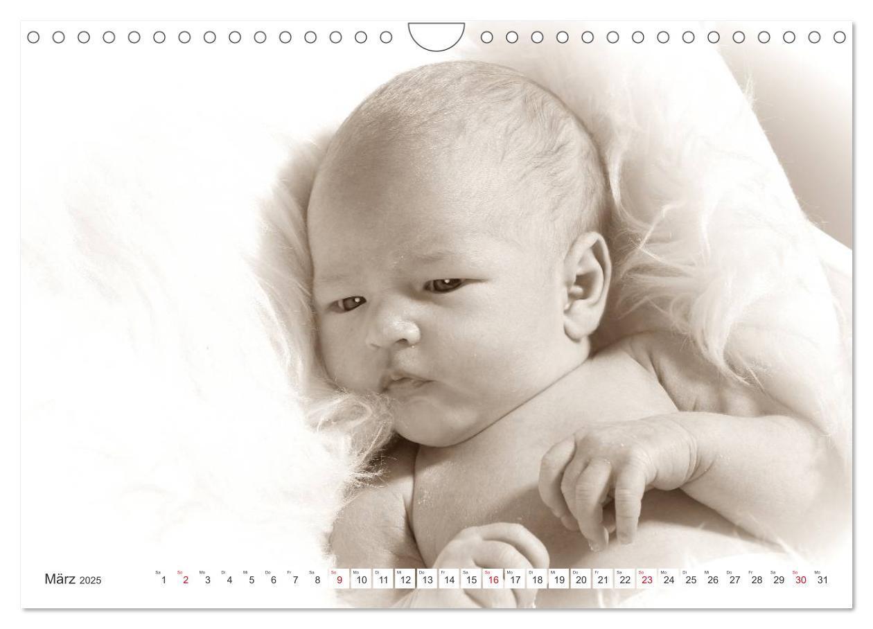 Bild: 9783435707362 | Babys - Willkommen im Leben (Wandkalender 2025 DIN A4 quer),...