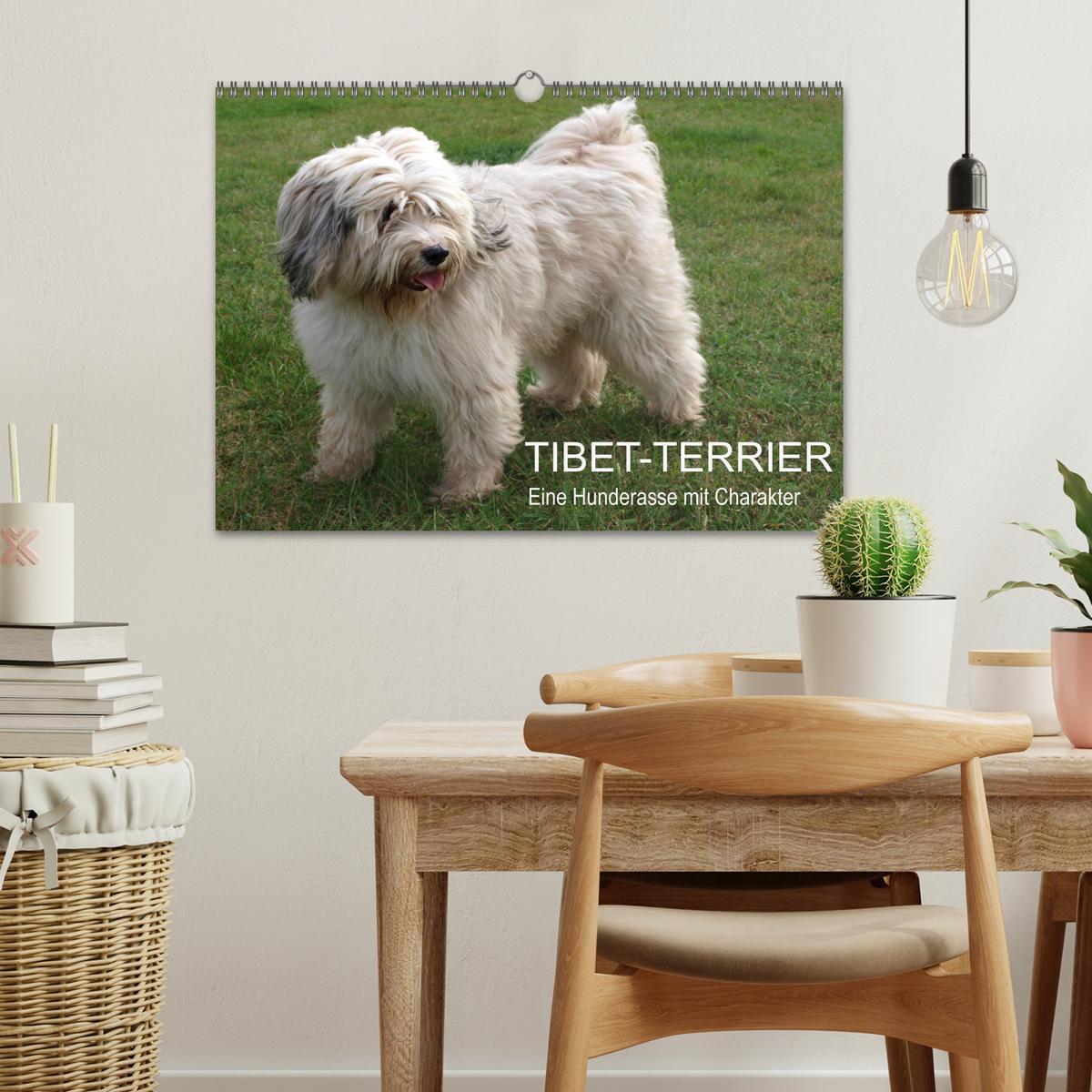 Bild: 9783435261116 | Tibet-Terrier - Eine Hunderasse mit Charakter (Wandkalender 2025...