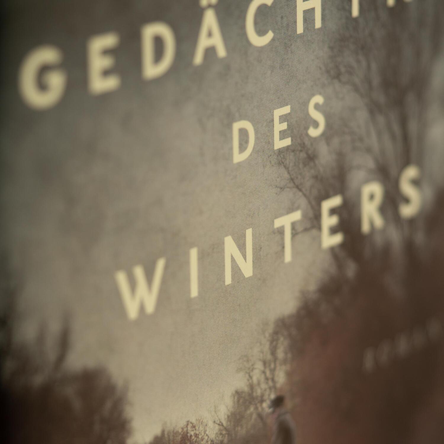 Bild: 9783365001004 | Das Gedächtnis des Winters | Roman | Steven Conte | Buch | 448 S.