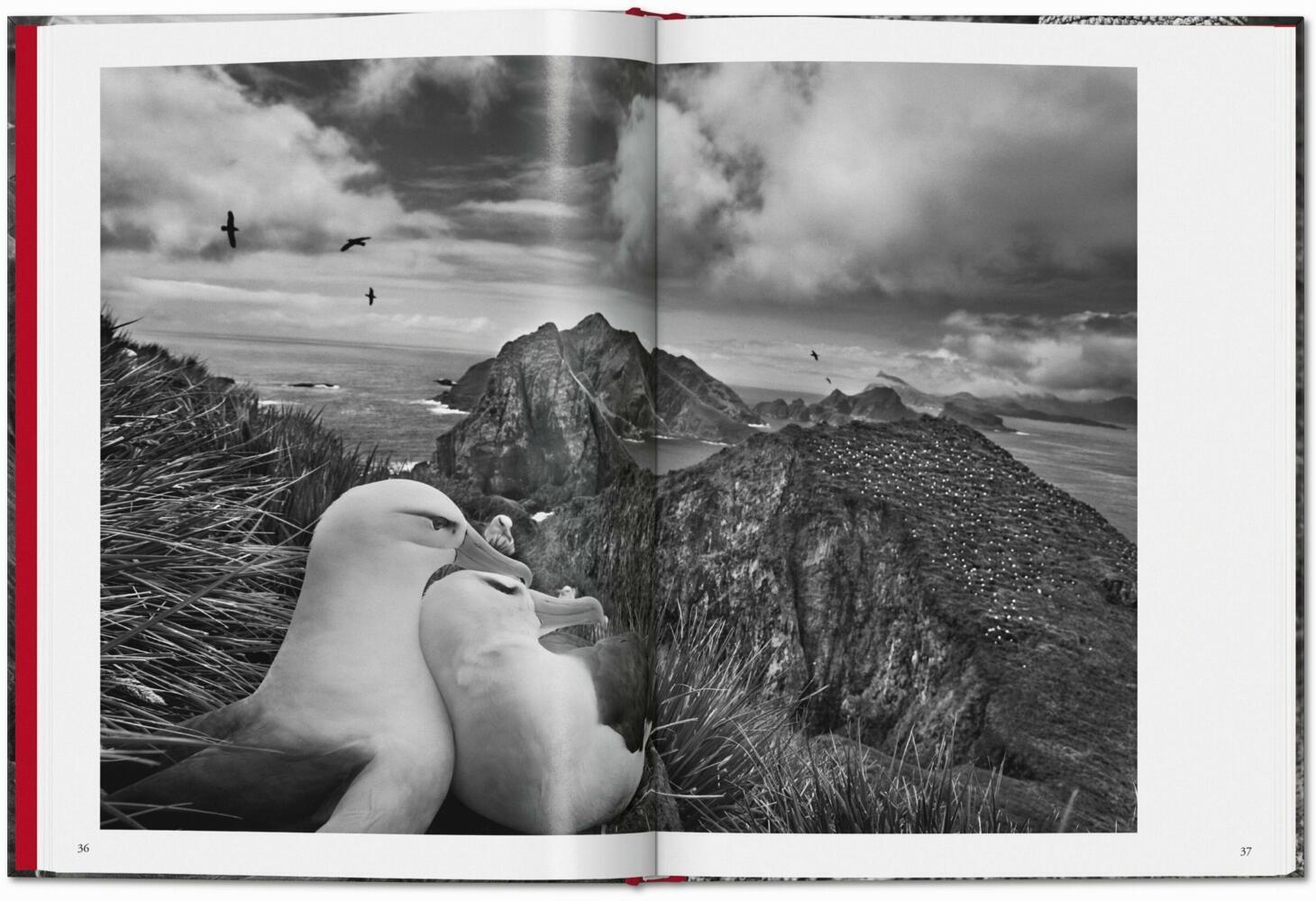 Bild: 9783836594585 | Sebastião Salgado. Génesis | TASCHEN | Buch | 192 S. | Spanisch | 2024