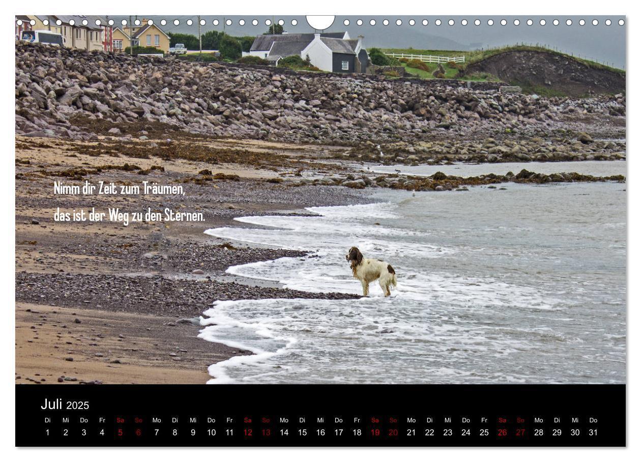 Bild: 9783435413034 | Irland - Irische Segenswünsche (Wandkalender 2025 DIN A3 quer),...