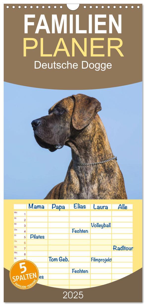 Cover: 9783457113523 | Familienplaner 2025 - Deutsche Dogge mit 5 Spalten (Wandkalender,...