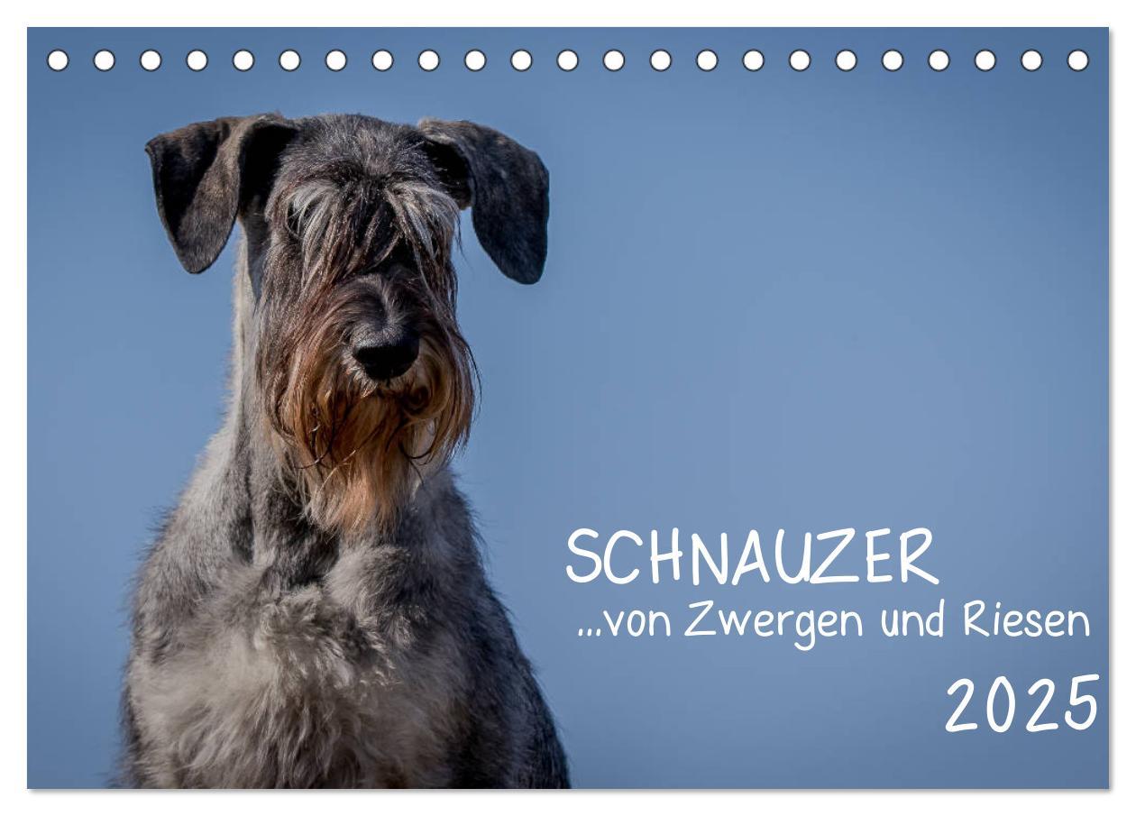 Cover: 9783435413430 | Schnauzer... von Zwergen und Riesen 2025 (Tischkalender 2025 DIN A5...