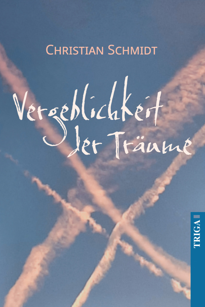 Cover: 9783958283275 | Die Vergeblichkeit der Träume | Christian Schmidt | Buch | Deutsch