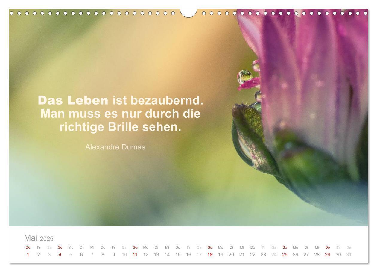 Bild: 9783435480746 | Zauberhafte Sprüche - Bunte Seelenblüten (Wandkalender 2025 DIN A3...