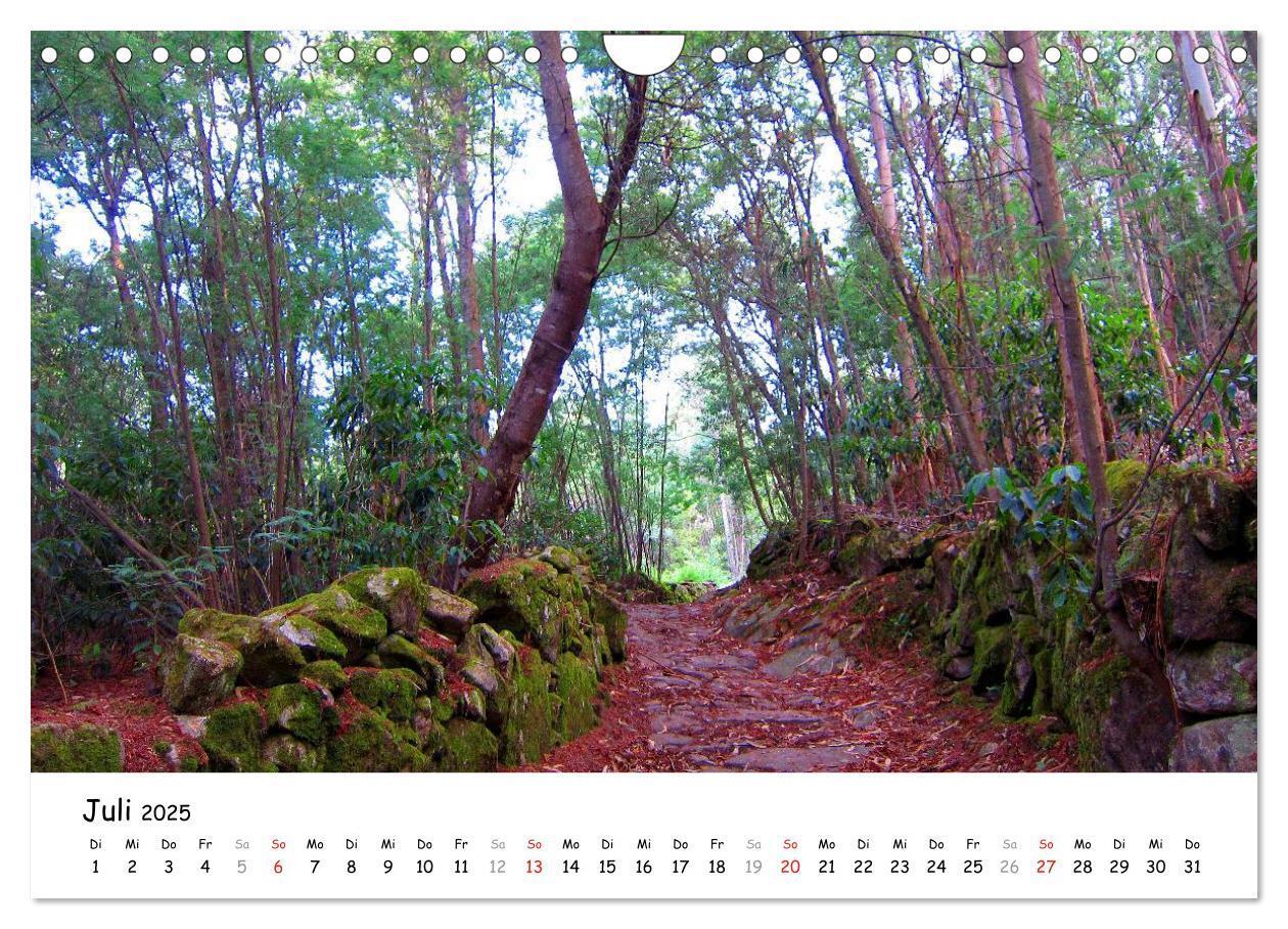 Bild: 9783435558247 | Jakobsweg - Camino Portugues (Wandkalender 2025 DIN A4 quer),...