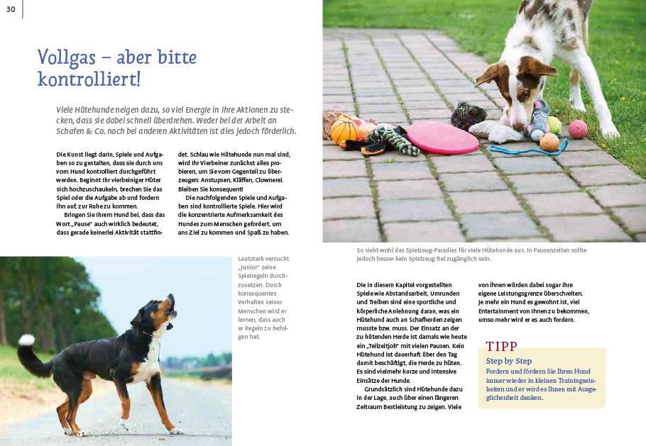 Bild: 9783818617769 | Spiele und Action für ausgeglichene Hütehunde | Marion Albers | Buch