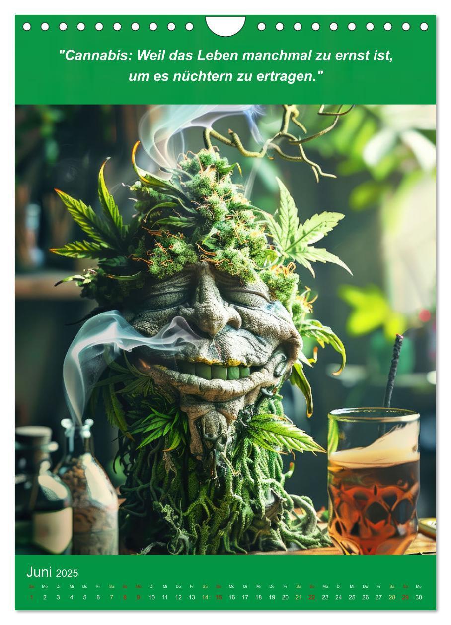 Bild: 9783435691517 | Der humoristische Cannabis Kalender (Wandkalender 2025 DIN A4...