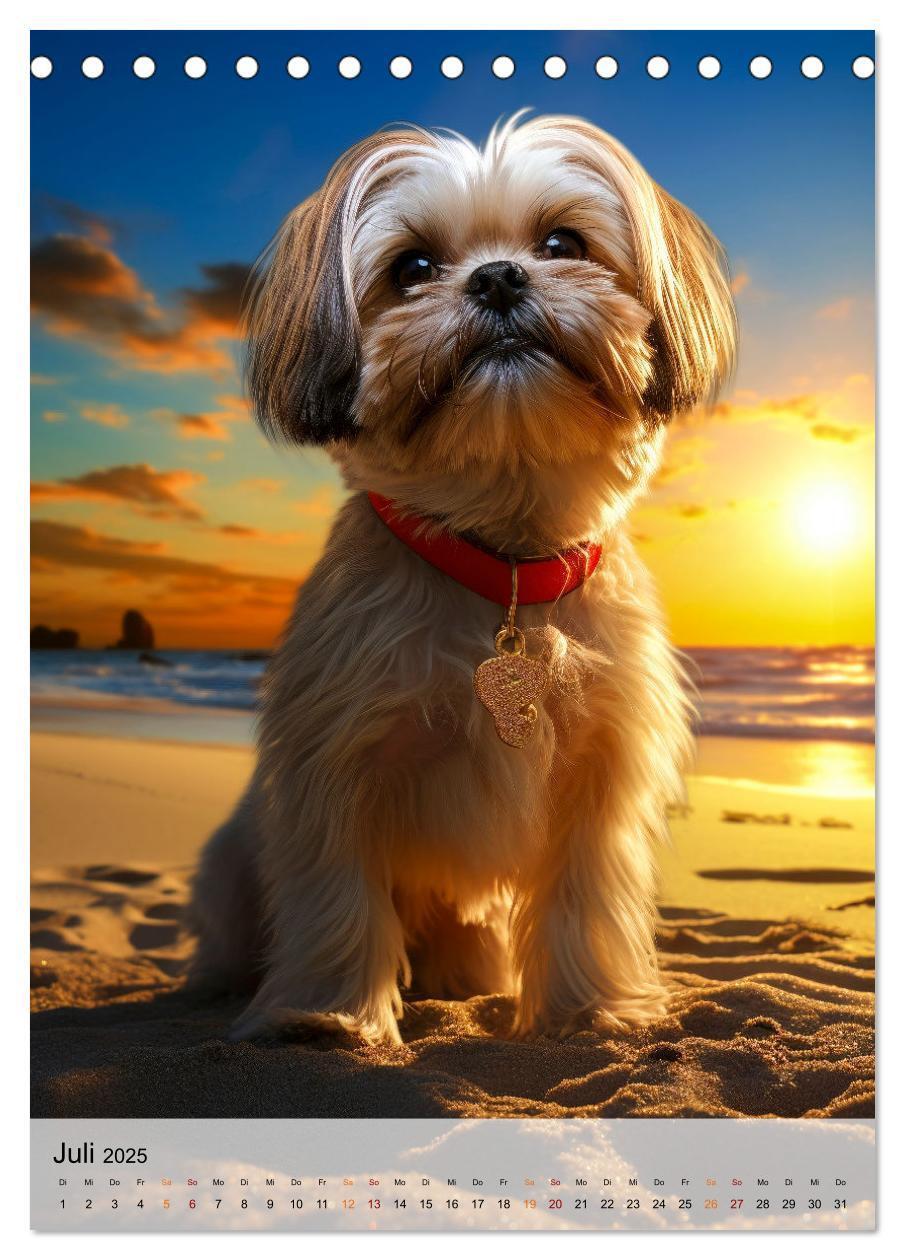 Bild: 9783383765599 | Shih Tzu - immer im Mittelpunkt (Tischkalender 2025 DIN A5 hoch),...