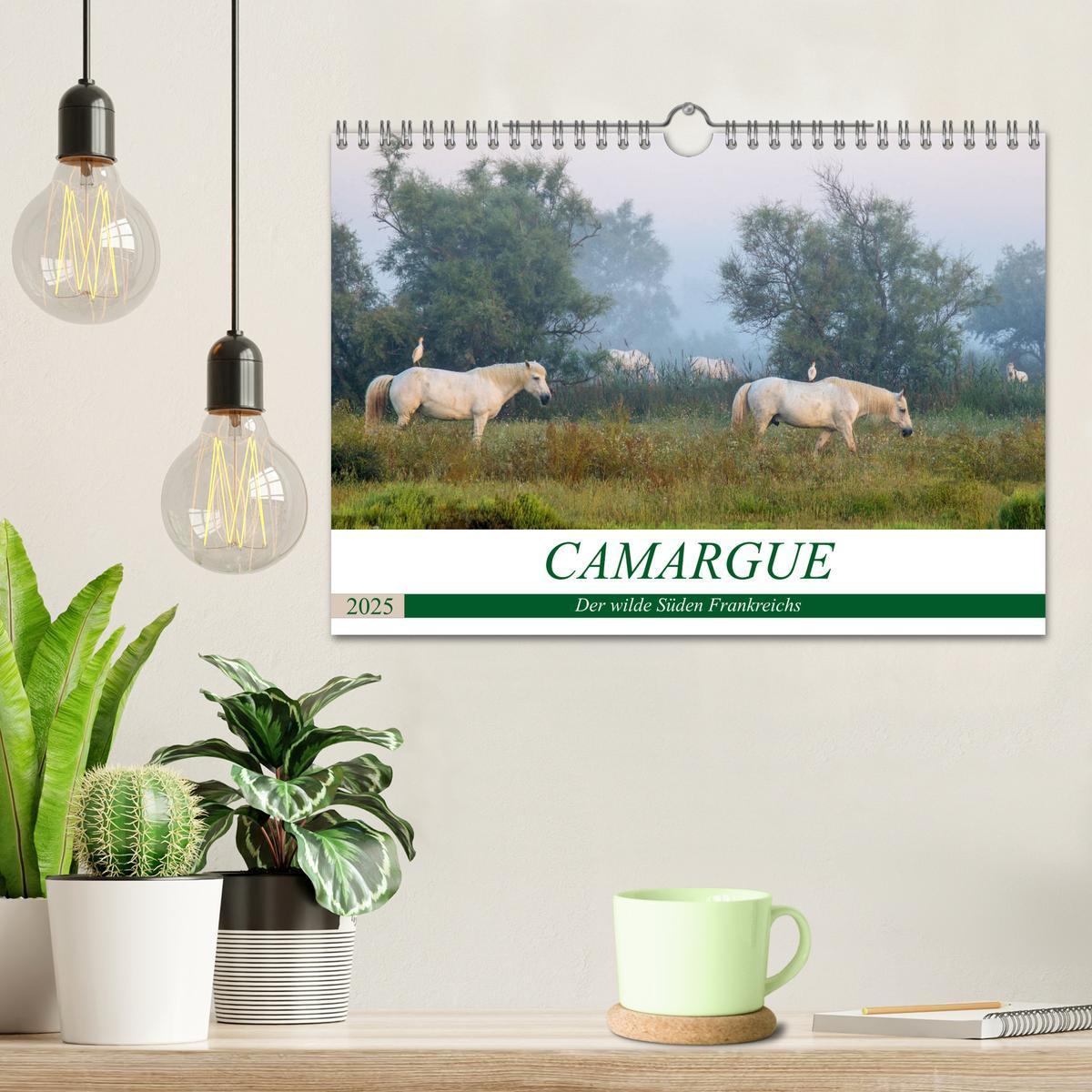 Bild: 9783435407613 | Camargue - Der wilde Süden Frankreichs (Wandkalender 2025 DIN A4...