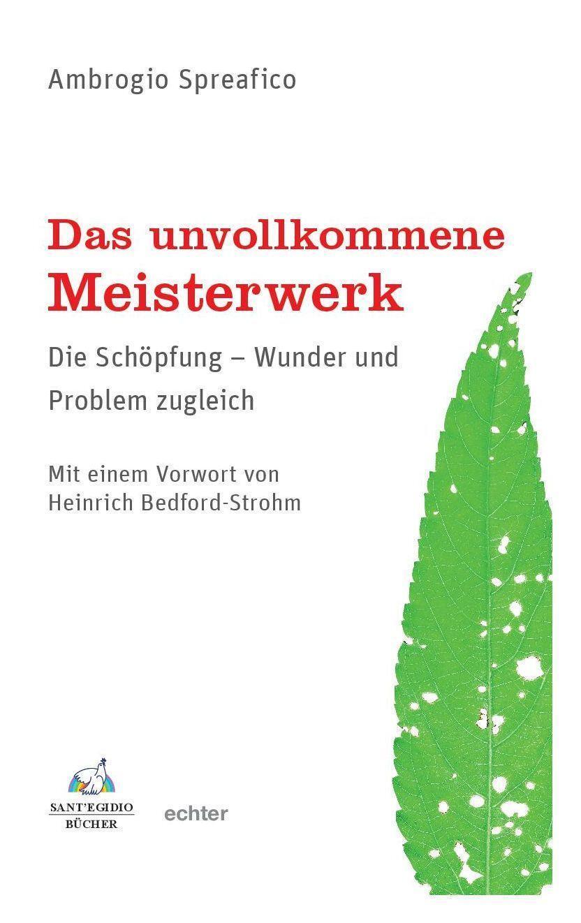 Cover: 9783429057060 | Das unvollkommene Meisterwerk | Ambrogio Spreafico | Taschenbuch